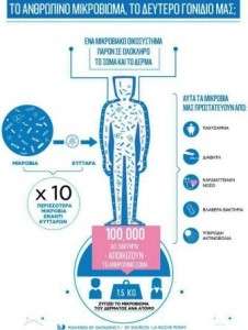 infographic_ microbiome